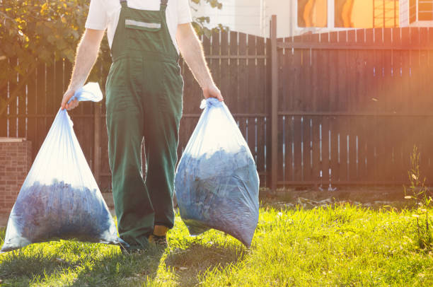 Best Same-Day Junk Removal Services  in Homer, GA
